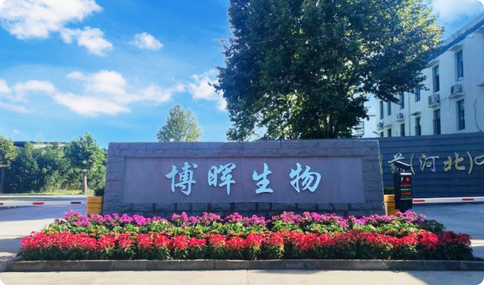 ΰ�¹���������ҩ���ӱ������޹�˾